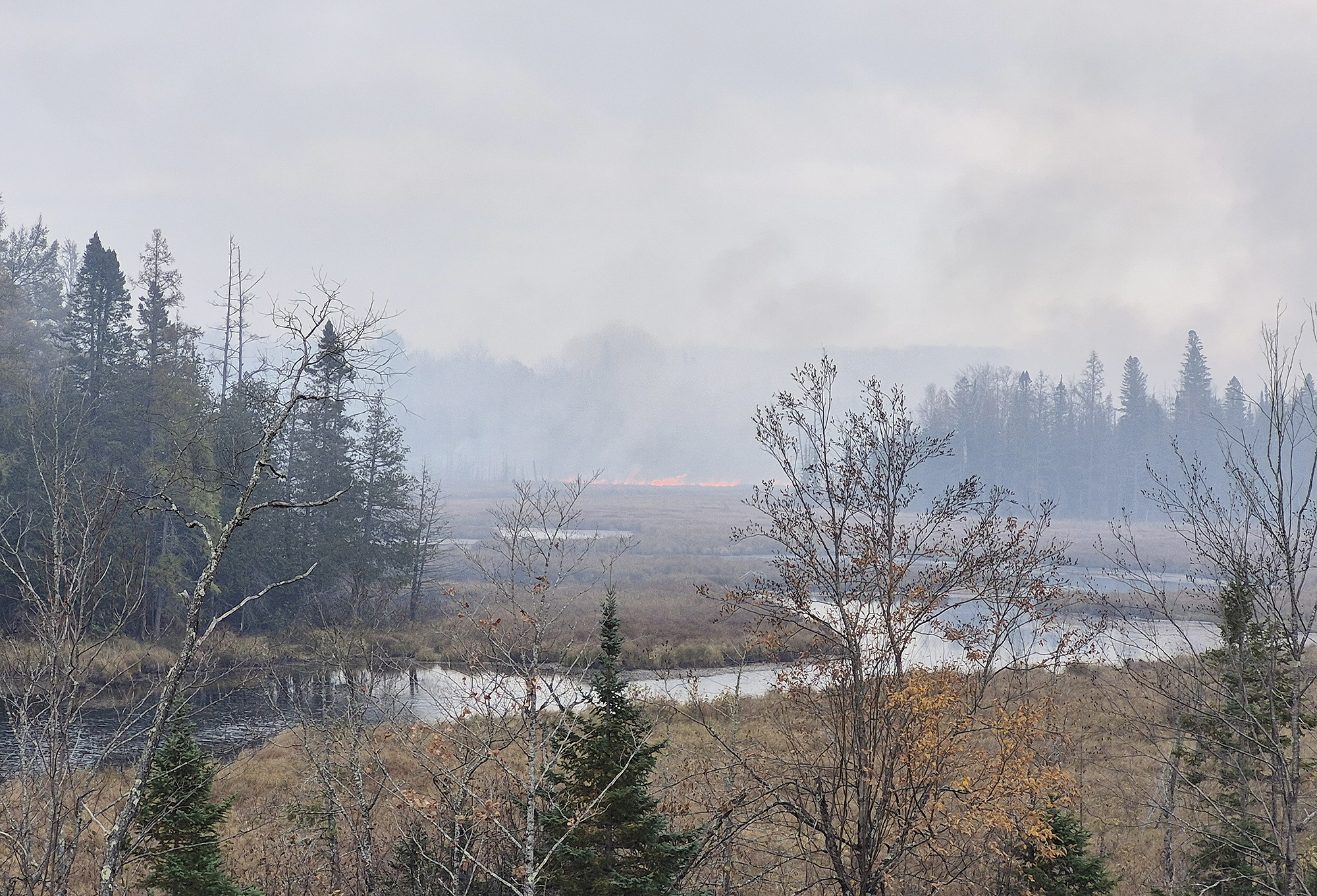 Three Fires Lightning strike confirmed as cause of Black River Fire - The Daily News